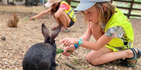 Powiększ grafikę: Na zdjęciu widać dziewczynkę, która karmi trawą króliczka. 