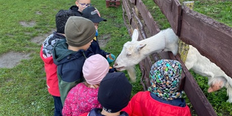 Powiększ grafikę: zwierzaki-nad-potokiem-mini-zoo-w-zukczynie-379411.jpg