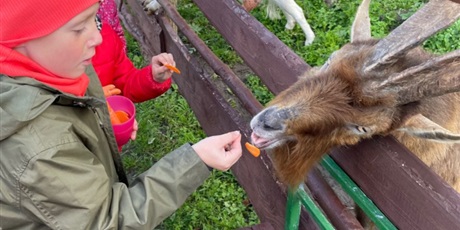 Powiększ grafikę: zwierzaki-nad-potokiem-mini-zoo-w-zukczynie-379412.jpg