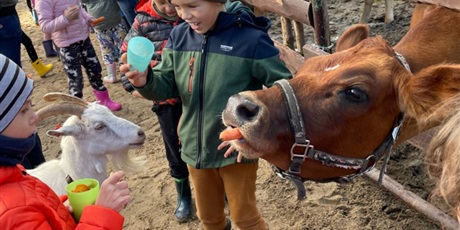 Powiększ grafikę: zwierzaki-nad-potokiem-mini-zoo-w-zukczynie-379414.jpg