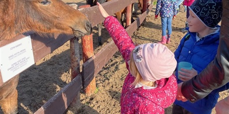 Powiększ grafikę: zwierzaki-nad-potokiem-mini-zoo-w-zukczynie-379425.jpg