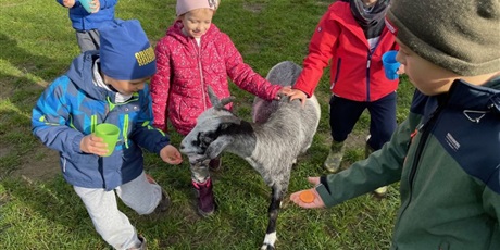 Powiększ grafikę: zwierzaki-nad-potokiem-mini-zoo-w-zukczynie-379427.jpg