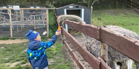 Powiększ grafikę: zwierzaki-nad-potokiem-mini-zoo-w-zukczynie-379449.jpg