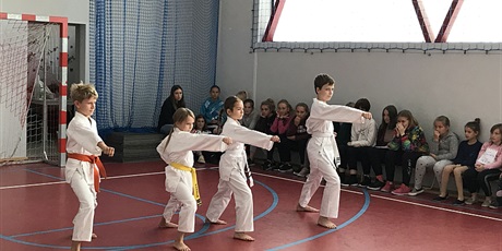 Powiększ grafikę: 16.09.2019 Pokaz karate