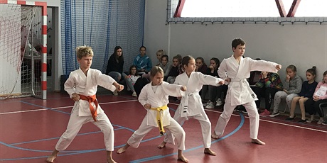 Powiększ grafikę: 16.09.2019 Pokaz karate