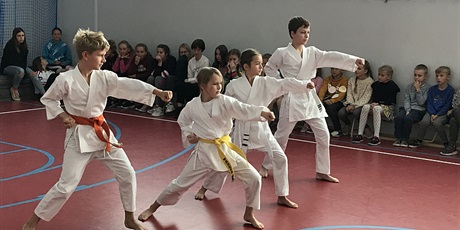 Powiększ grafikę: 16.09.2019 Pokaz karate