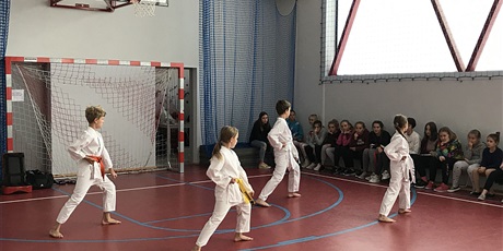 Powiększ grafikę: 16.09.2019 Pokaz karate